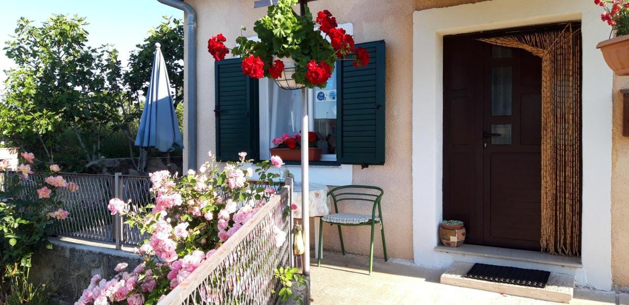 Holiday Home Goga Drnis Exterior photo